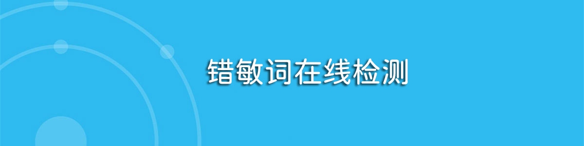 错敏词检测系统